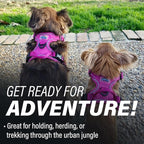 Doggie Design Venture Paw No Pull Dog Harness - Simple Adjustable Puppy Harness - Anti Pull Dog Collar for Walks and Outdoor Adventures - Wild Raspberry, S