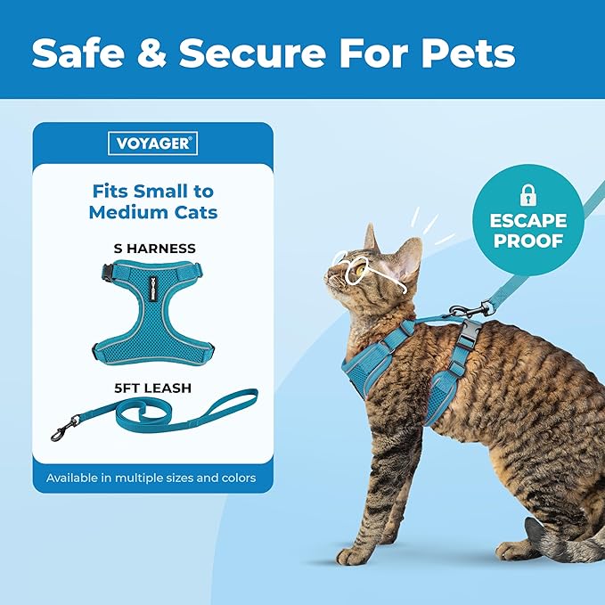 Voyager Escape-Proof Step-in Lock Cat Harness & 5ft Neoprene-Handle Leash Set All-Weather Mesh with Reflective Stitching for Small to Large Cats by Best Pet Supplies, Turquoise (327), M