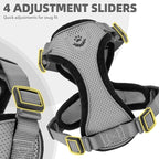 PUPTECK Cat Harness and Leash Set Escape Proof Reflective Cat Walking Harness Adjustable Soft Breathable Mesh Vest for Small Pets, Grey, M