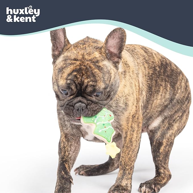 Huxley & Kent Funny Dog Toy w/Squeaker – Holiday Power Plush Squeaky Dog Toys for Small Dogs – Durable Small Stuffed Animal for Indoor Play & Fetch - Tiny Tuff Christmas Tree Cookie
