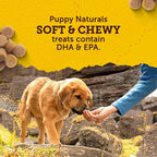 Zuke's Puppy Naturals Bag of Soft Puppy Treats for Training, Natural Dog Treats Bites with Salmon Recipe, 5 oz.,