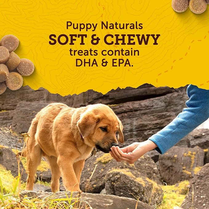 Zuke's Puppy Naturals Bag of Soft Puppy Treats for Training, Natural Dog Treats Bites with Salmon Recipe, 5 oz.,