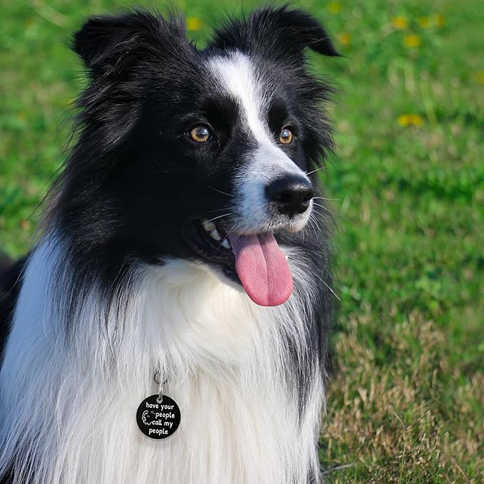 MYLUCKYTAG QR Code Personalized Dog Tag - Stainless Steel, Engraved, Durable Pet ID with Online Profile and Location Alerts