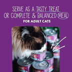 Stella & Chewy's Carnivore Cravings Purrfect Paté - Premium Grain-Free Wet Cat Food - 6 Flavor Variety Pack - High Protein with Bone Broth - Perfect for Picky Eaters - 2.8oz Cans (24 Pack)