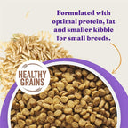 Halo Holistic Small Breed Dog Food, Cage Free Chicken & Brown Rice Recipe, Healthy Grains Dry Dog Food, Complete Digestive Health, 10 lb Bag