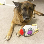 Jalousie Multipack Dog Squeaky Toys Strong Almost Indestructible, with Added Liner for Longer Play Dog Chew Toys (6 Pack Spaceship Hide and Seek)