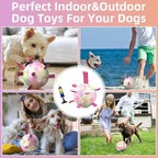 QDAN Dog Toys Soccer Ball with Straps,Gradient Interactive Dogs Toys for Tug of War, Puppy Birthday Gifts,Water Toy Durable Dog Balls World Cup for Small & Medium Dogs-Rainbow（8 Inch）