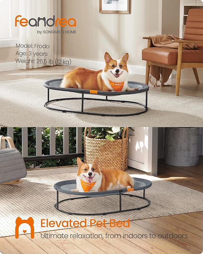Feandrea Pet Bed, Cat Hammock, Elevated Cat Bed for Multiple Cats, with Removable Washable Mesh, for Pets up to 70 lb, Oval, Gray UPCB004G01