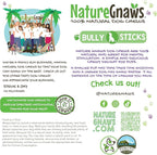 Nature Gnaws Bully Sticks for Dogs 5-6" (8oz) - Mixed Thickness - Long Lasting for Aggressive Chewers and Large Dogs - Natural Beef Dog Chew Bones