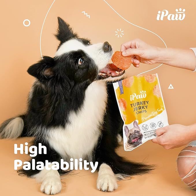 iPaw Turkey Chips Dog Treats for Puppy Training, All Natural Human Grade Dog Treat, Ingredient Sourced from USA, Hypoallergenic, Easy to Digest (Turkey Chips), 3 Packs