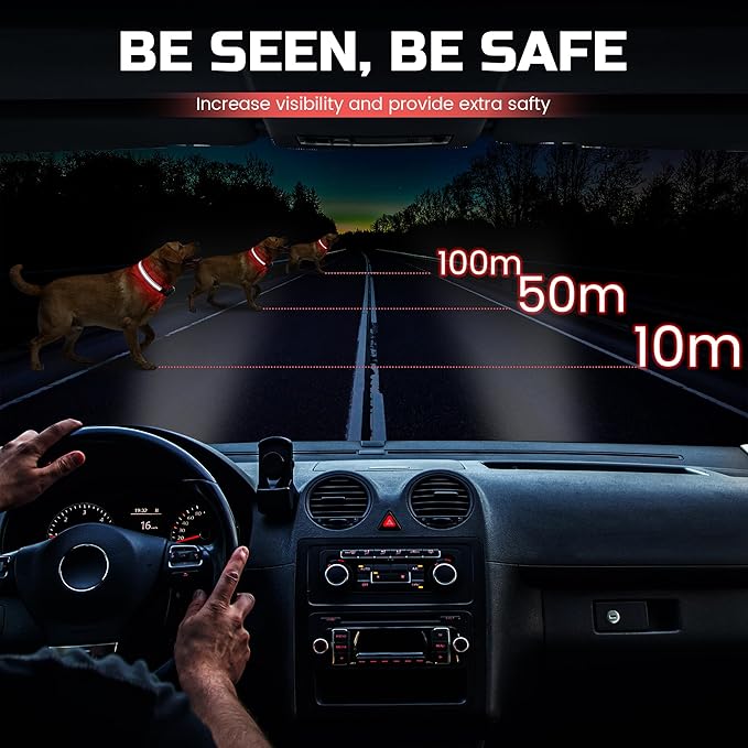 Light Up Dog Collar Rechargeable, LED Glow Collar in Dark with 3 Flash Mode for Outdoor Night Walking Visible Safe, Adjustable Waterproof Dog Light for Small Medium Large Breed, Red, M