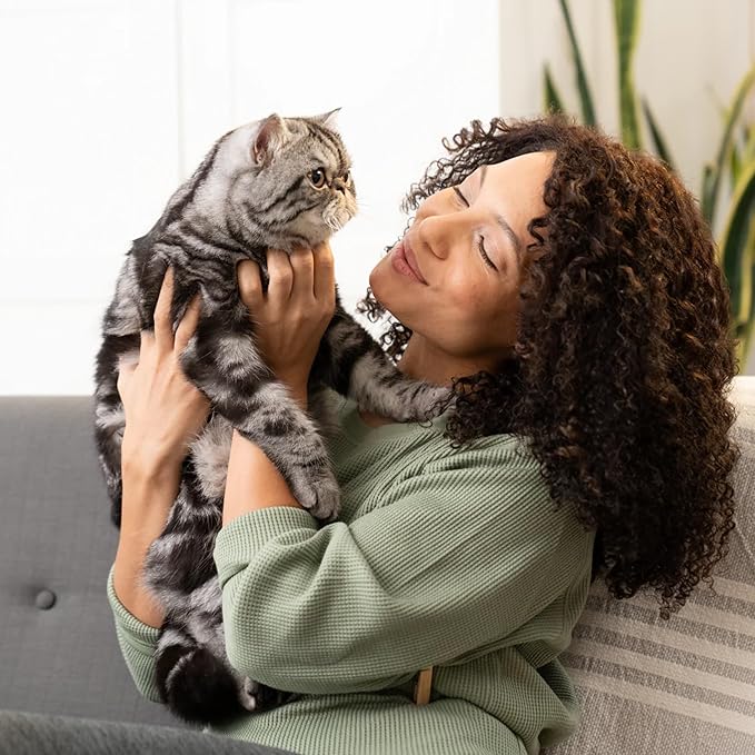 Open Farm, Kitty Cubes, Freeze Dried Raw Cat Treats, Grain-Free, High-Protein Cat Treat with Probiotics, Omega Fatty Acids & Superfoods, Salmon & Mackerel Recipe, 1.5oz Bag