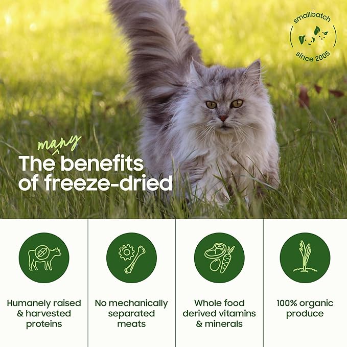 smallbatch Pets Freeze Dried Cat Treats, Raw Dry Cat Food Bites, Chicken Recipe, High Protein Food Topper or Training Treats for Cats, Humanely Sourced Meat, Made in The USA, Non GMO, 10 oz Bag