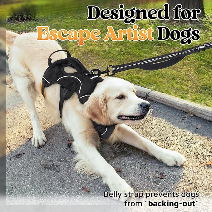 rabbitgoo Escape Proof Dog Harness, Soft Padded Full Body Pet Harness, Reflective Adjustable No Pull Vest with Lift Handle and Leash Clip for Large Dogs Walking Hiking Training, XL