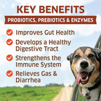 Probiotics for Dogs - Hot Spot Remedy for Dogs + Prebiotic - Dog Allergy Chews - Improve Digestion & Upset Tummy, Relieve Gas & Diarrhea, Dog Probiotics and Digestive Enzymes, 120 Dog Probiotic Chews