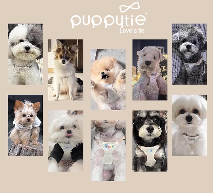 Puppytie No Pull Dog Harness with Multifunction Dog Leash,Soft Adjustable No Choke Escape Proof Pet Harness Vest for Medium Dogs,Glossy Pearl White,M