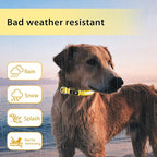 PcEoTllar Light up Dog Collar for Night Walking - LED Dog Collar Light Rechargeable Color Changing, Glow in The Dark Dog Collars Waterproof Glowing Dog Collars for Large Small Medium Dogs