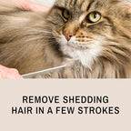 Eye Envy ProGlide Deshedding and Detangling Comb for Long-Haired Cats | Remove Undercoat, Excess Hair, Tangles & Knots | 6" Dual-Tooth Comb with Rounded Pins