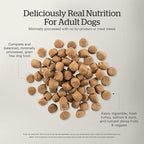 Now Fresh Grain-Free, Dry Dog Food, Real Meat and Fish, Turkey, Salmon and Duck Adult Recipe, All Breed Size, 22 lb Bag