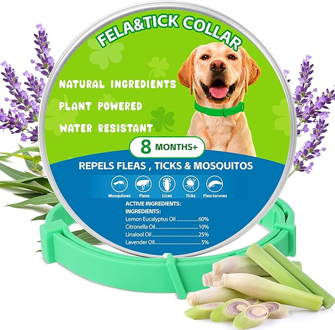 Natural Flea & Tick Prevention Dog Collars – 2-Pack Adjustable Waterproof Collars with Essential Oils (Lemon Eucalyptus, Citronella, Lavender, Linalool), Safe for All Breeds