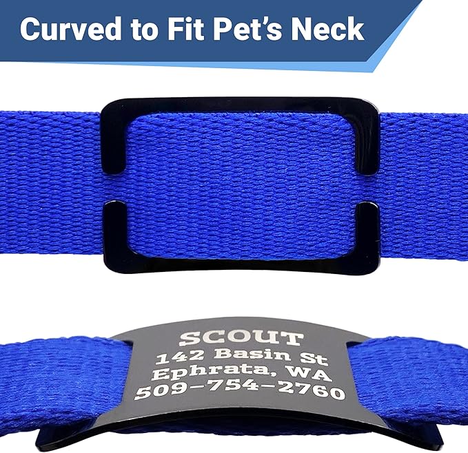 GoTags Slide-On Pet ID Tags, Personalized Dog and Cat Collar Tags, Silent, No Noise Tags Made of Stainless Steel, Custom Engraved