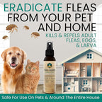 Trail Guard Natural Extra Strength Insect, Flea and Tick Spray for Dogs, Cats, People & Home (2Pack 4oz, Cedarwood & Rosemary)