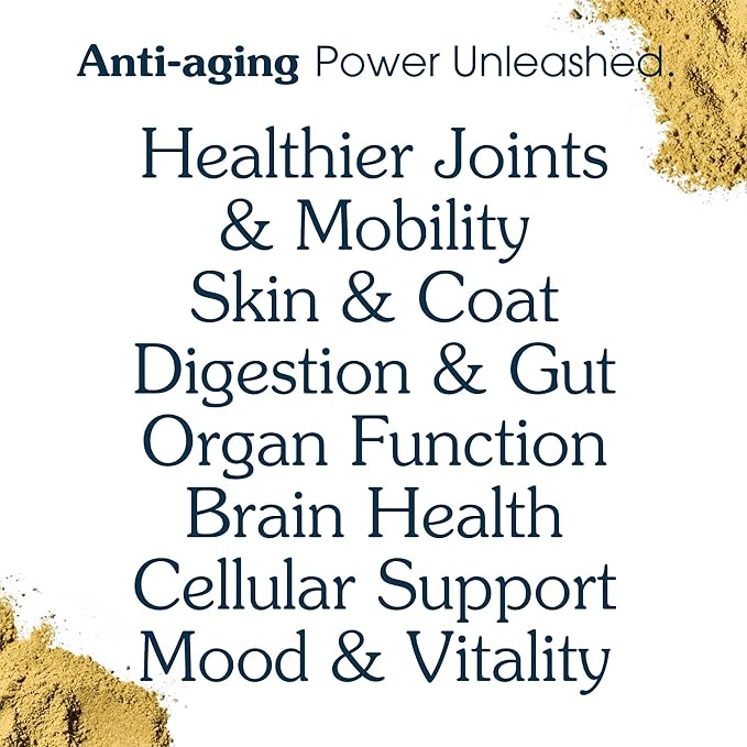 Senior Dog Powder Supplement & Food Topper – 63 Ingredients for Joint, Gut, Immune & Brain Health – Daily Longevity Multivitamin with Glucosamine, Probiotics, and Fish Oil | 30 Scoops