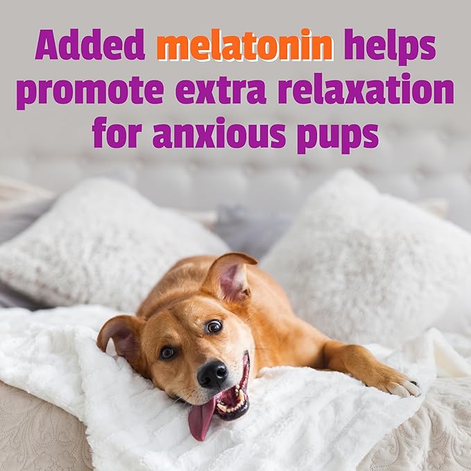 Pet Naturals BusyButter Extra Strength Calming Peanut Butter for Dogs - Great for Dog Toys, Lick Mats, Training, Calming Treats, Dog Anxiety Relief, Grooming, Treats and More - 1 6oz Pouch