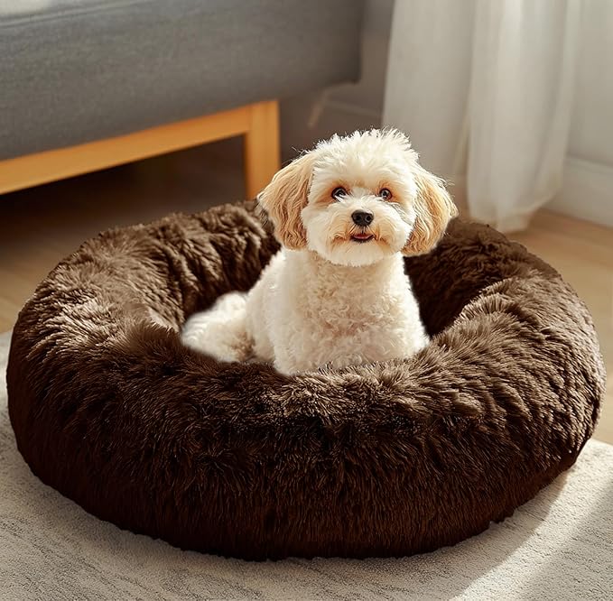 JOLLYVOGUE Dog & Cat Bed, Calming Anti-Anxiety Pet Bed for Small Dogs, Fluffy Donut Cushion for Small and Medium Pets (20")