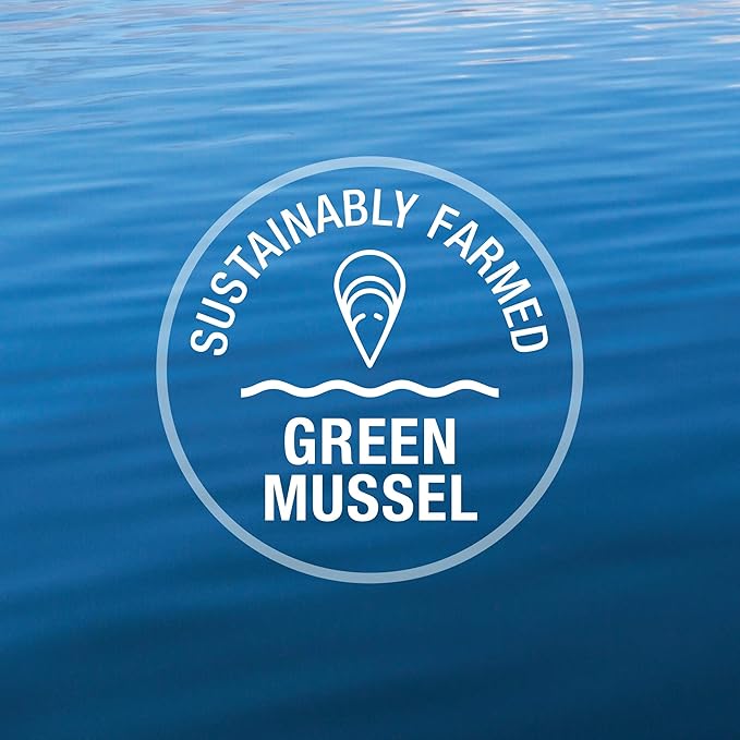 K9 Natural - Grain Free Freeze Dried Dog Food - Beef, 17.6 Ounce