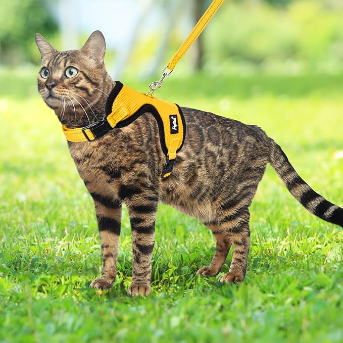 PUPTECK Cat Harness and Leash Set Escape Proof, Reflective Adjustable Soft Mesh Kitten Vest Harness for Walking Travel, Yellow, S