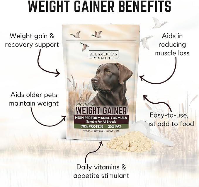 Dog Weight Gainer – High Calorie Dog Food Supplement & Protein Powder for Rapid Weight Gain, Mass, and Recovery – Appetite Stimulant – 60 Servings