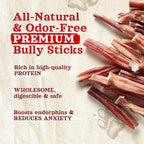 Natural Farm Odor-Free Thin Bully Sticks (4”, 24-Pack) All-Natural Long-Lasting Dog Chews, 100% Beef Pizzle, Grass-Fed, Grain-Free, Protein for Muscle Development & Energy, Perfect for Small Dogs