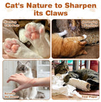 Kitty Cat Toy Scratch Board, Accordion with Ball, Magic Organ Cat Scratch Toys for Indoor, Foldable Design,Boosts Claw Health,Relieve Anxiety and Protect The Furniture