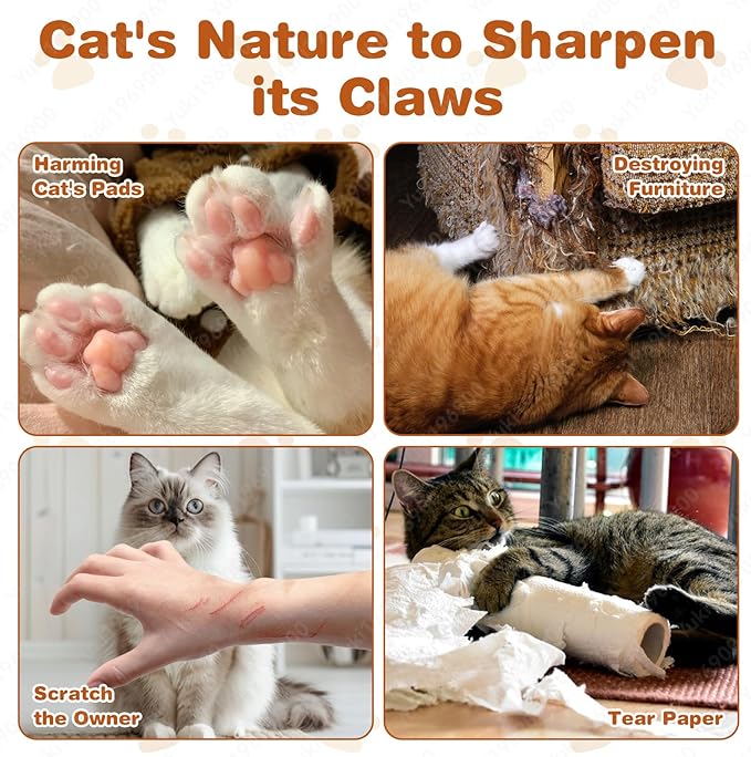 Kitty Cat Toy Scratch Board, Accordion with Ball, Magic Organ Cat Scratch Toys for Indoor, Foldable Design,Boosts Claw Health,Relieve Anxiety and Protect The Furniture