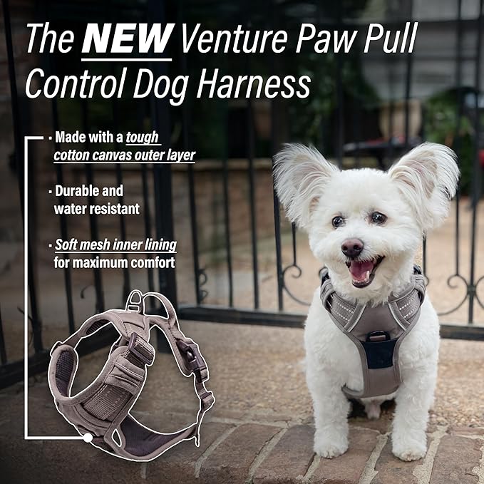 Doggie Design Venture Paw No Pull Dog Harness - Simple Adjustable Puppy Harness - Anti Pull Dog Collar for Walks and Outdoor Adventures - Dried Sage, M