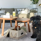 Dog Toy Basket with Lid, Dog Basket for Toys, Dog Toy Box with Cotton Rope Handles, Collapsible Storage Bins for Dog Toys, Dog Storage Organizer, Beige-Gray