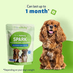 Pet Wellbeing Spark Daily Nutritional Greens Superfood for Dogs & Cats - Probiotics, Prebiotics, Digestive Enzymes, Amino Acids, Antioxidants, Vitamin D, Spirulina - Vet-Formulated 3.53 oz (100 g)