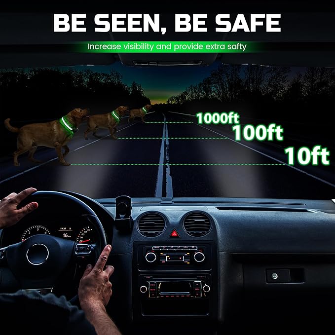 Light Up Dog Collar Rechargeable, LED Glow Collar in Dark with 3 Flash Mode for Outdoor Night Walking Visible Safe, Adjustable Waterproof Dog Light for Small Medium Large Breed, Green, M