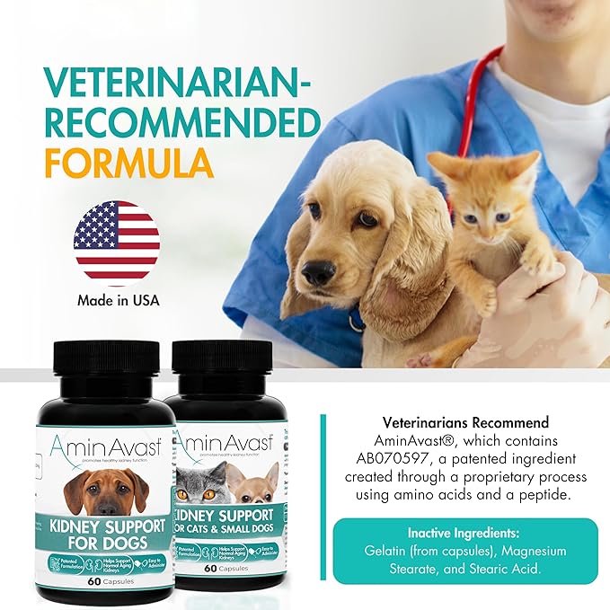 AminAvast Kidney Support Supplement for Cats and Small Dogs, 300mg 2-Pack - Promotes Natural Kidney Function - Aids in Health and Vitality of Aging Kidneys - Easily Administered - 60 Sprinkle Capsules