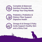 Wellness Complete Health Dry Dog Food with Grains, Natural Ingredients, Made in USA with Real Meat, All Breeds, For Adult Dogs (Lamb & Barley, 5-Pound Bag)