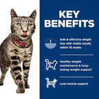 Hill's Science Diet Perfect Weight, Adult 1-6, Weight Management Support, Wet Cat Food, Salmon & Vegetables Stew, 2.9 oz Can, Case of 24