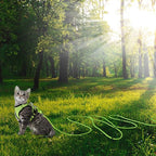 Reflective Cat Leash -30FT Cat Cable Out Escape Proof Walking Leads Yard Long Durable Safe Leash Traning Play Outdoor for Puppies/Kittens/Small Animals(Green)
