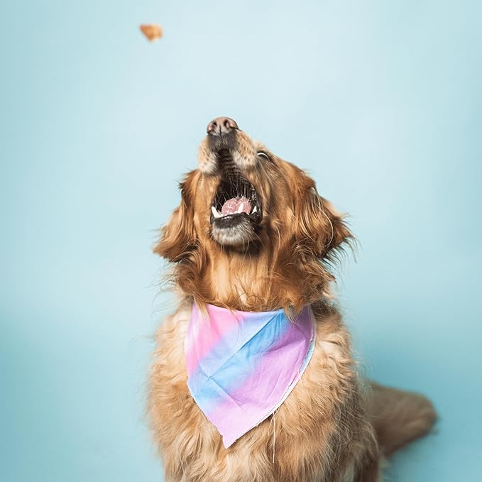 Leash & Load Dog Treats Beef Jerky Snack Bars, 16 oz Bag, Puppy Training Treats, Natural Superfood Grain Free Treat Made with Real Beef, Superfoods, Corn, Poultry & Soy Free