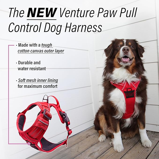 Doggie Design Venture Paw No Pull Dog Harness - Simple Adjustable Puppy Harness - Anti Pull Dog Collar for Walks and Outdoor Adventures - Crimson, XL