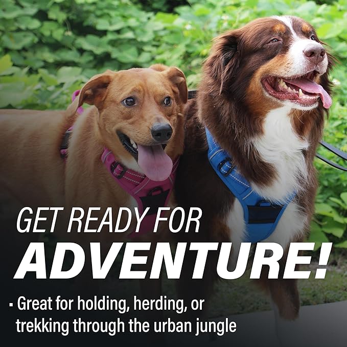 Doggie Design Venture Paw No Pull Dog Harness - Simple Adjustable Puppy Harness - Anti Pull Dog Collar for Walks and Outdoor Adventures - Mountain Lake, XL