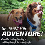 Doggie Design Venture Paw No Pull Dog Harness - Simple Adjustable Puppy Harness - Anti Pull Dog Collar for Walks and Outdoor Adventures - Mountain Lake, XL