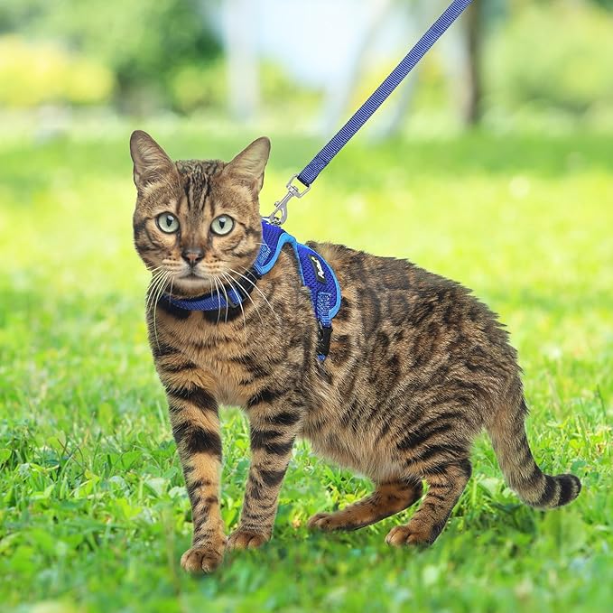 PUPTECK Cat Harness and Leash Set Escape Proof, Reflective Adjustable Soft Mesh Kitten Vest Harness for Walking Travel, Navy Blue, M