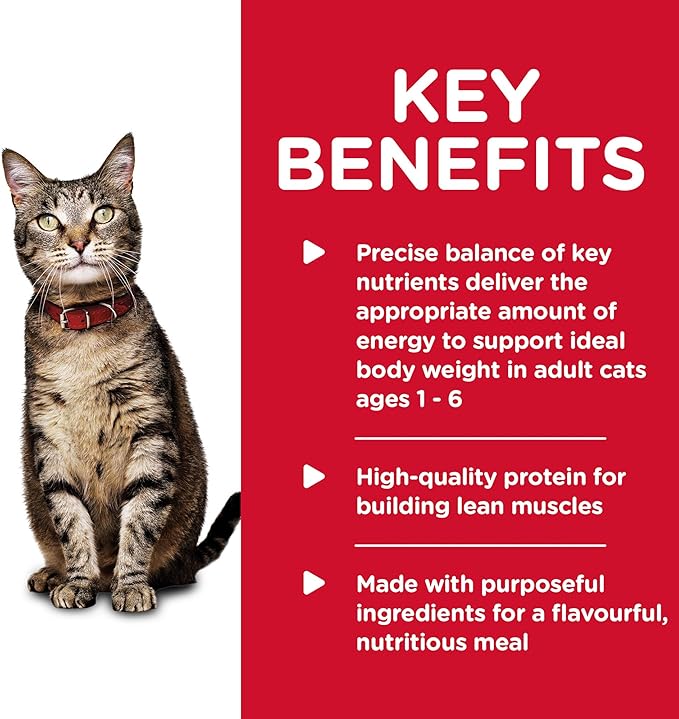 Hill's Science Diet Adult 1-6, Adult 1-6 Premium Nutrition, Wet Cat Food, Ocean Fish Minced, 5.5 oz Can, Case of 24