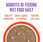 Weruva B.F.F. OMG - Best Feline Friend Oh My Gravy!, Chicken & Salmon Stir It Up with Chicken & Salmon in Gravy, 5.5oz Can (Pack of 8)